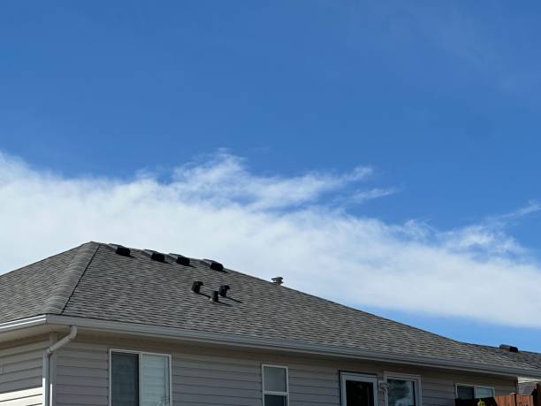 Best Asphalt Shingles Roofing  in Pottsville, PA